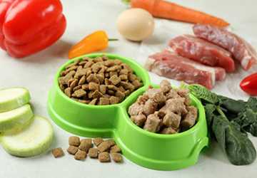 What Kinds of Foods are Toxic to Pets