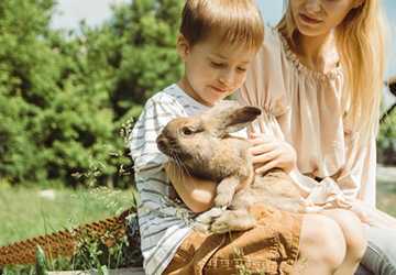 5 Best Things to Know About Keeping Rabbits as Pets