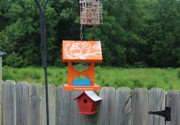 How to Design a DIY Bird Feeder for Your Garden