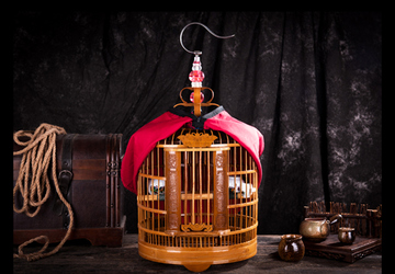 How to Keep Your Birds Cage Clean and Odor-Free