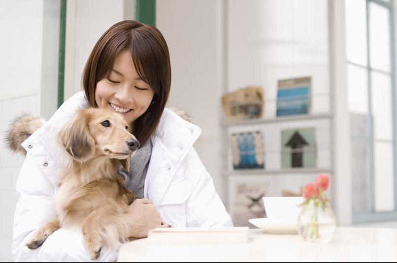 「かわいいだけじゃ飼えない」─ 日本のペット危機の真実