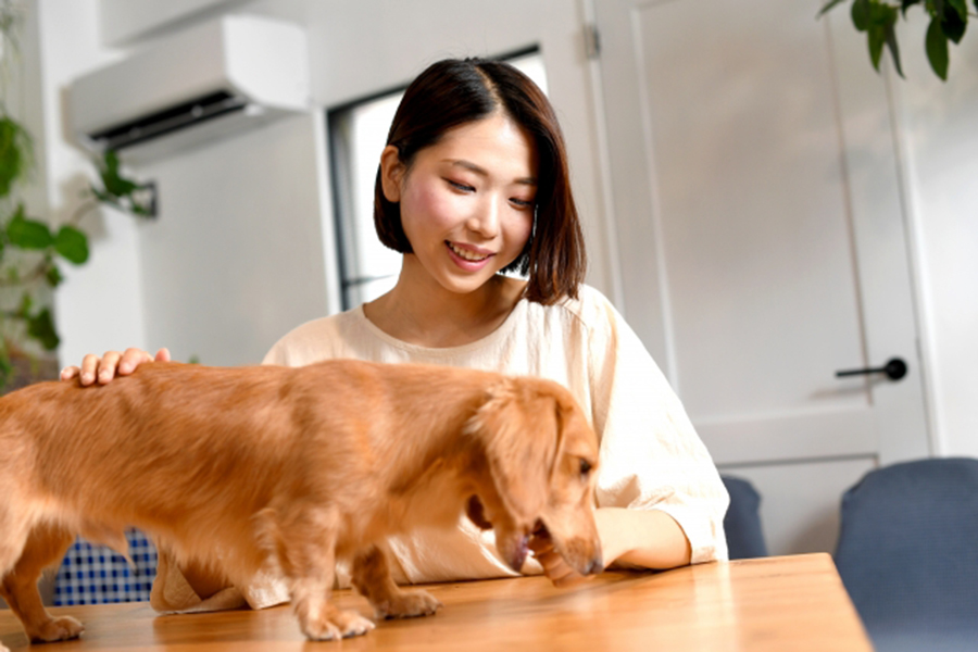 「知らないと本当に危ない」ペット医療費の“現実”が日本で急激に変わっている