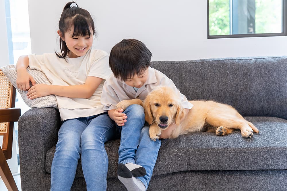 「助けられる命が、まだこんなにある」日本の保護犬・保護猫と里親制度の“見えない現実”