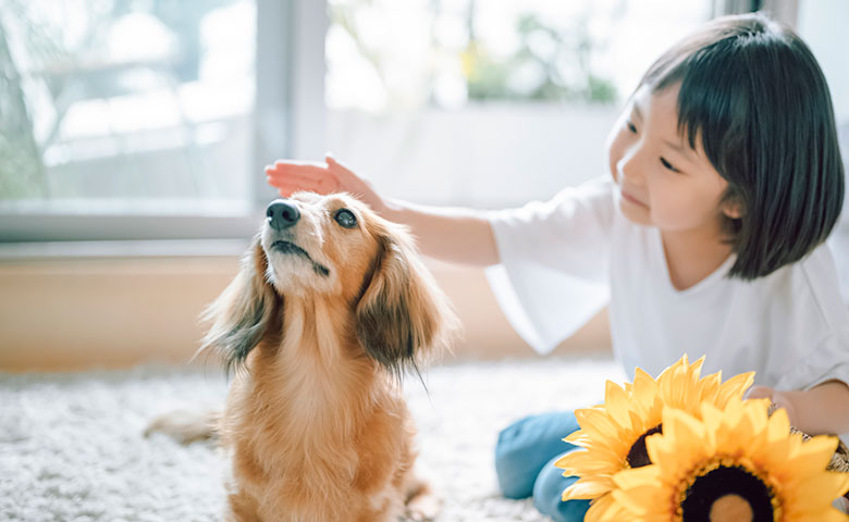 「もう限界…」物価高騰で“ペットが飼えない”日本の現実が深刻すぎる