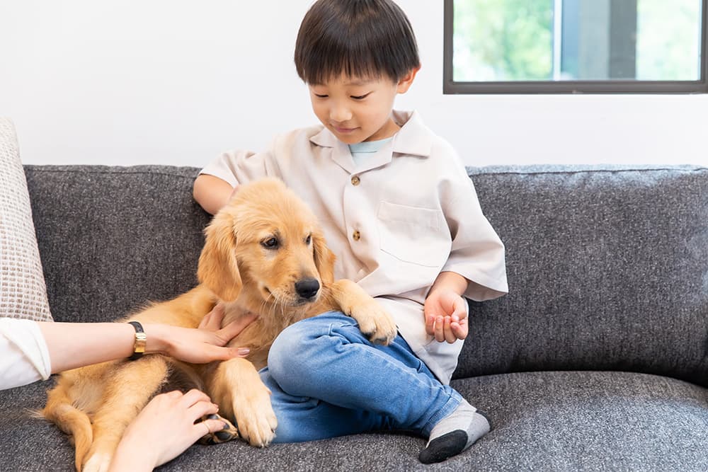 「気づいていますか？」ペットの“孤独”が日本で深刻化している理由
