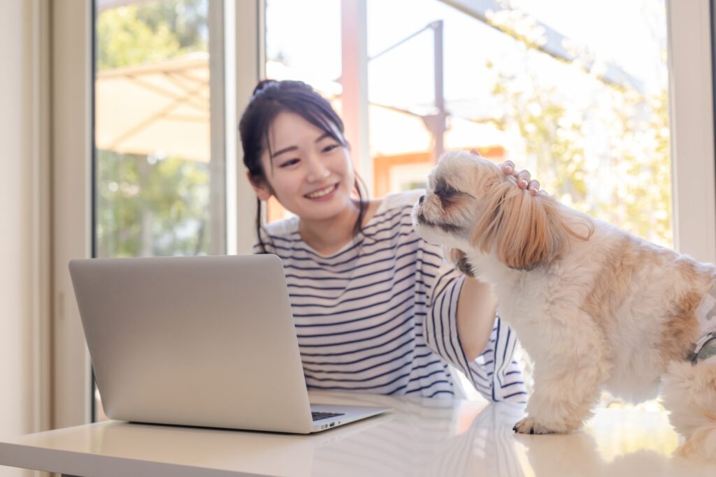「え、こんなに高いの…？」ペット医療費が“静かに爆上がり”している日本のリアル